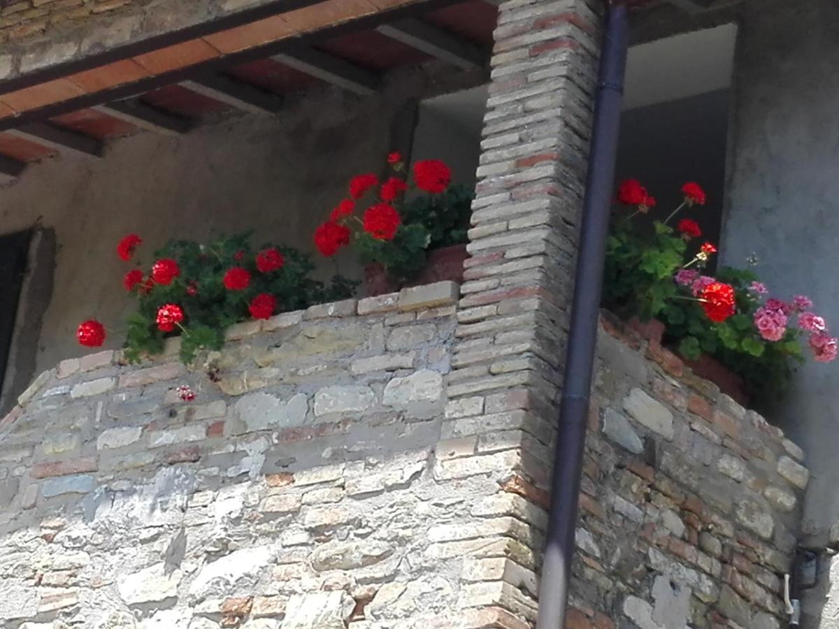 Vila Fattoria Di Rigone Coltavolino Exteriér fotografie