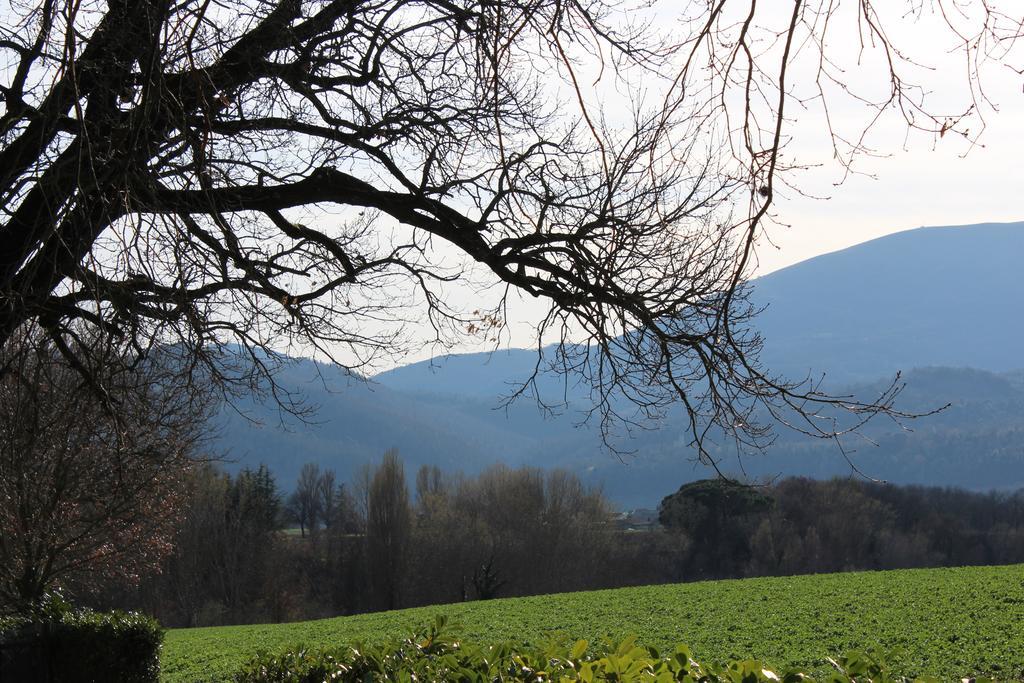 Vila Fattoria Di Rigone Coltavolino Exteriér fotografie