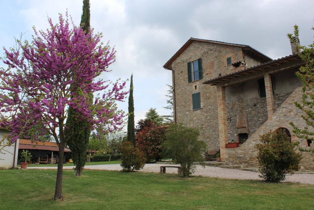 Vila Fattoria Di Rigone Coltavolino Exteriér fotografie