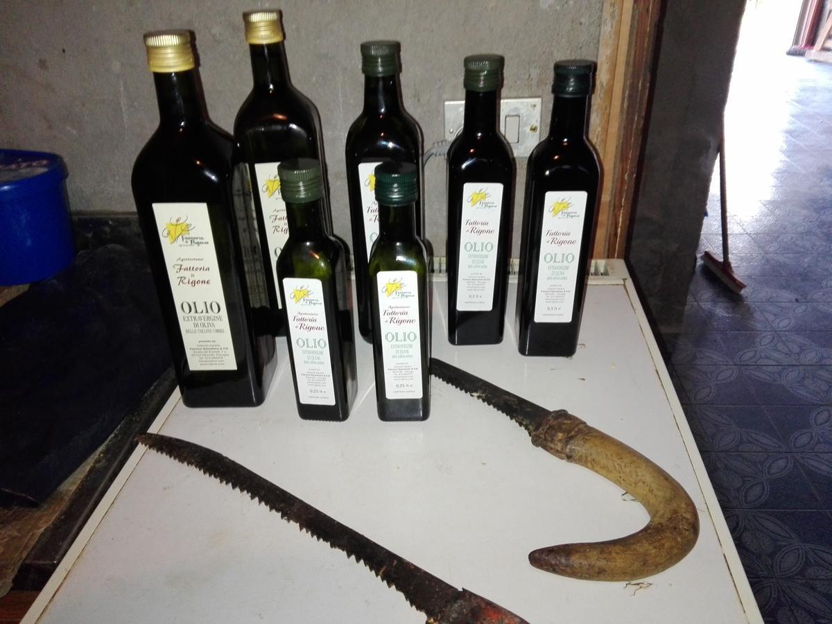 Vila Fattoria Di Rigone Coltavolino Exteriér fotografie
